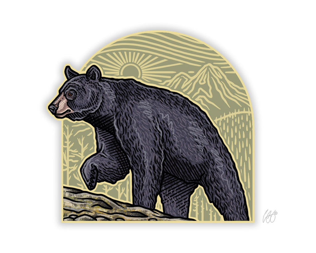 Black Bear Arch Decal
