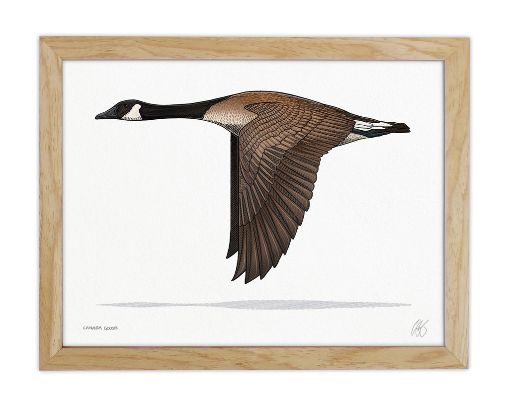 Canada Goose Print– Casey Underwood Artwork Design