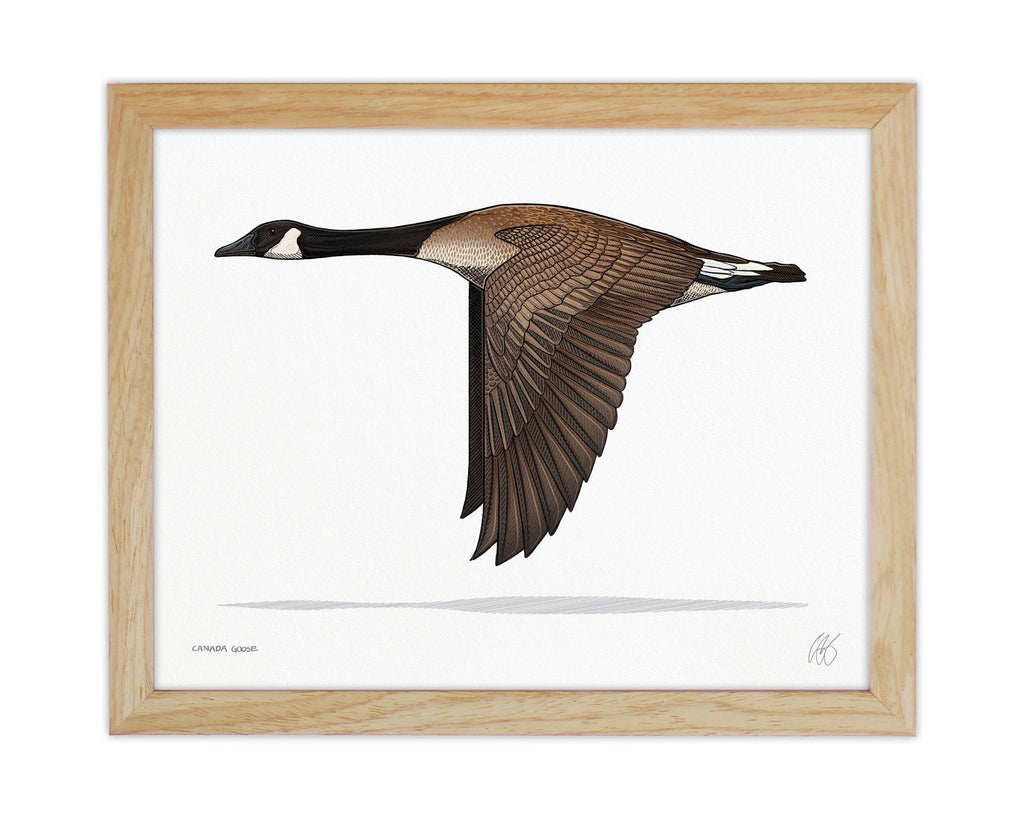 Canada Goose Printβ Casey Underwood Artwork Design