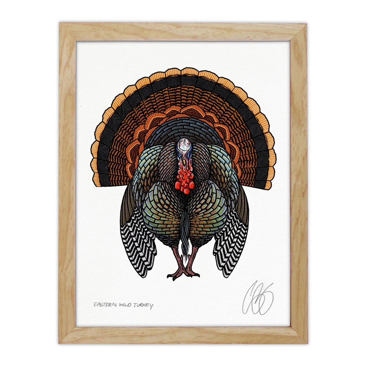 Wild Turkey サイン入りフレームアート Eastern Wild Turkey Print– Underwood Creative LLC
