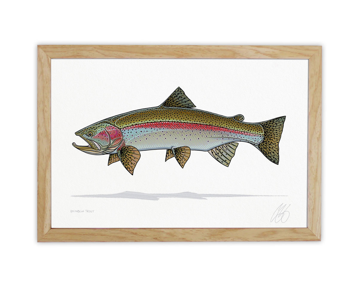 Rainbow Trout Print