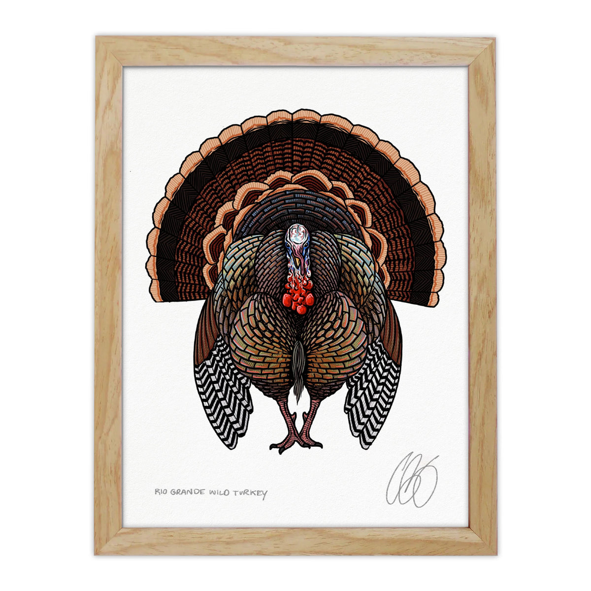 Rio Grande Wild Turkey Print– Underwood Creative LLC