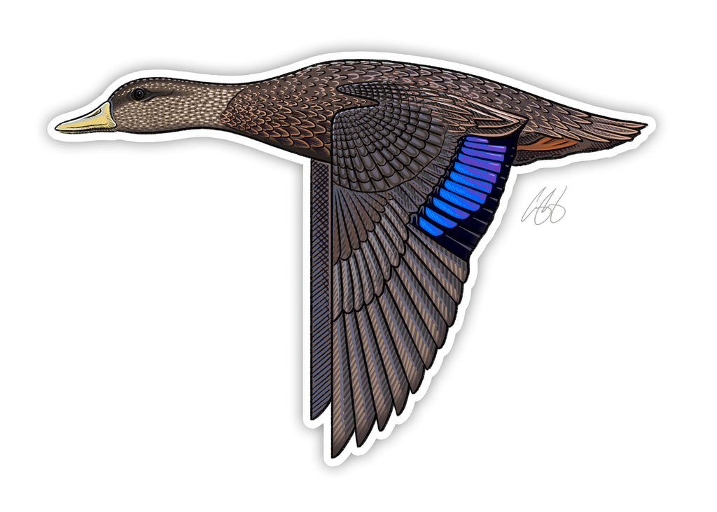 Duck Side View Sticker Duck Decals Amazon.com: Haooryx Self Adhesive Duck Stickers 1000pcs