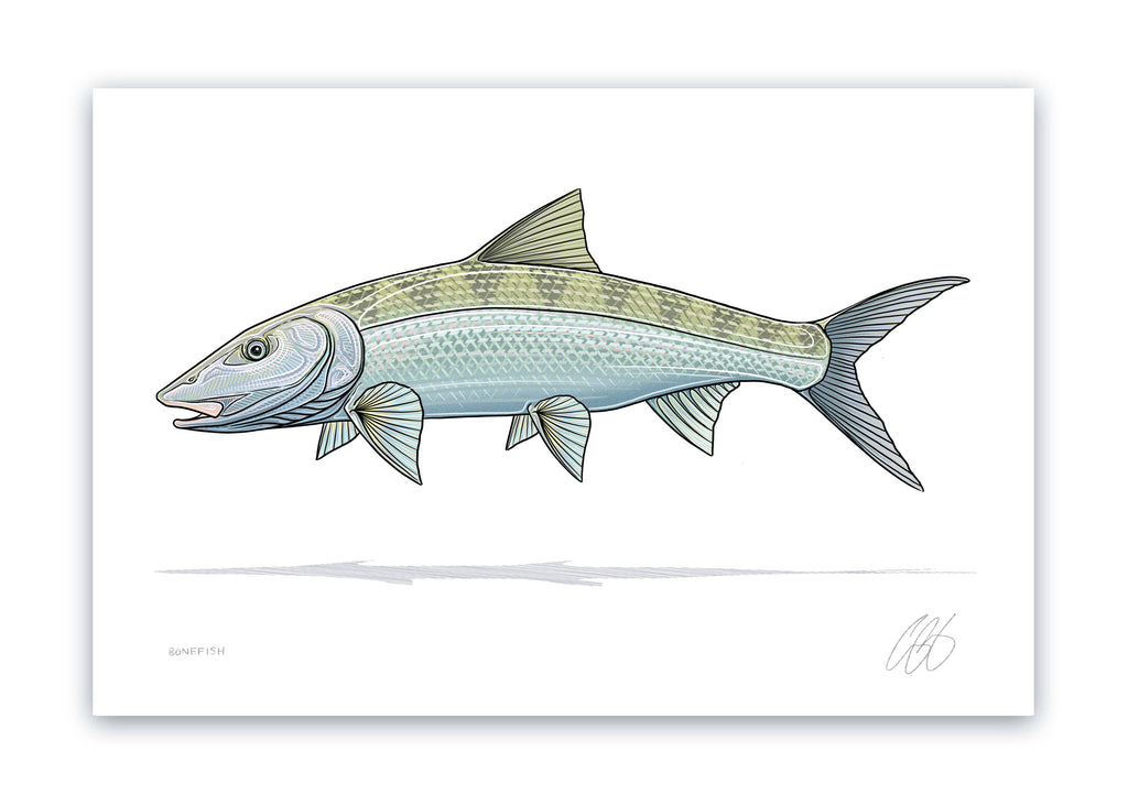 Bonefish Print– Casey Underwood Artwork & Design