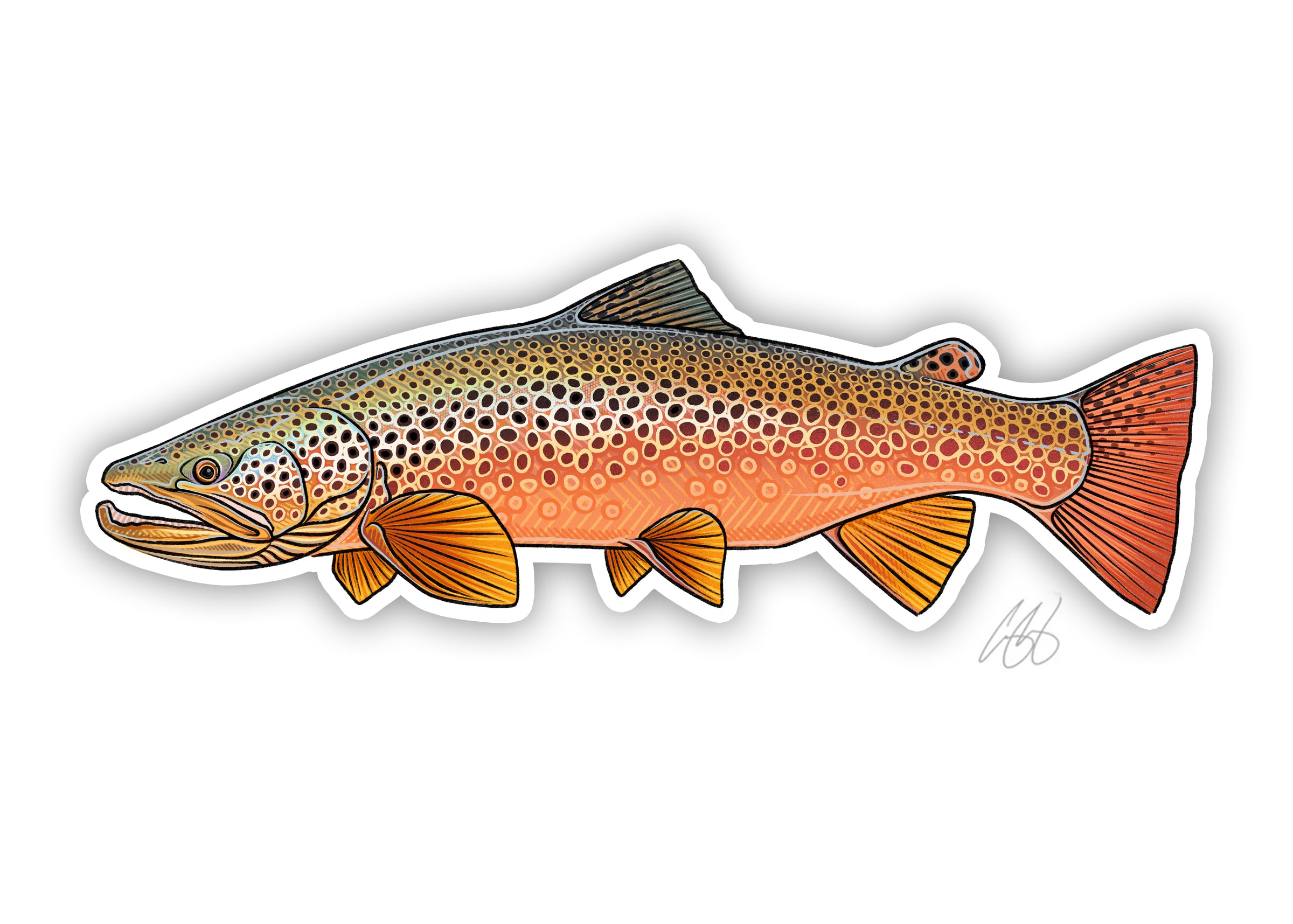 Fish Decals– Casey Underwood Artwork & Design
