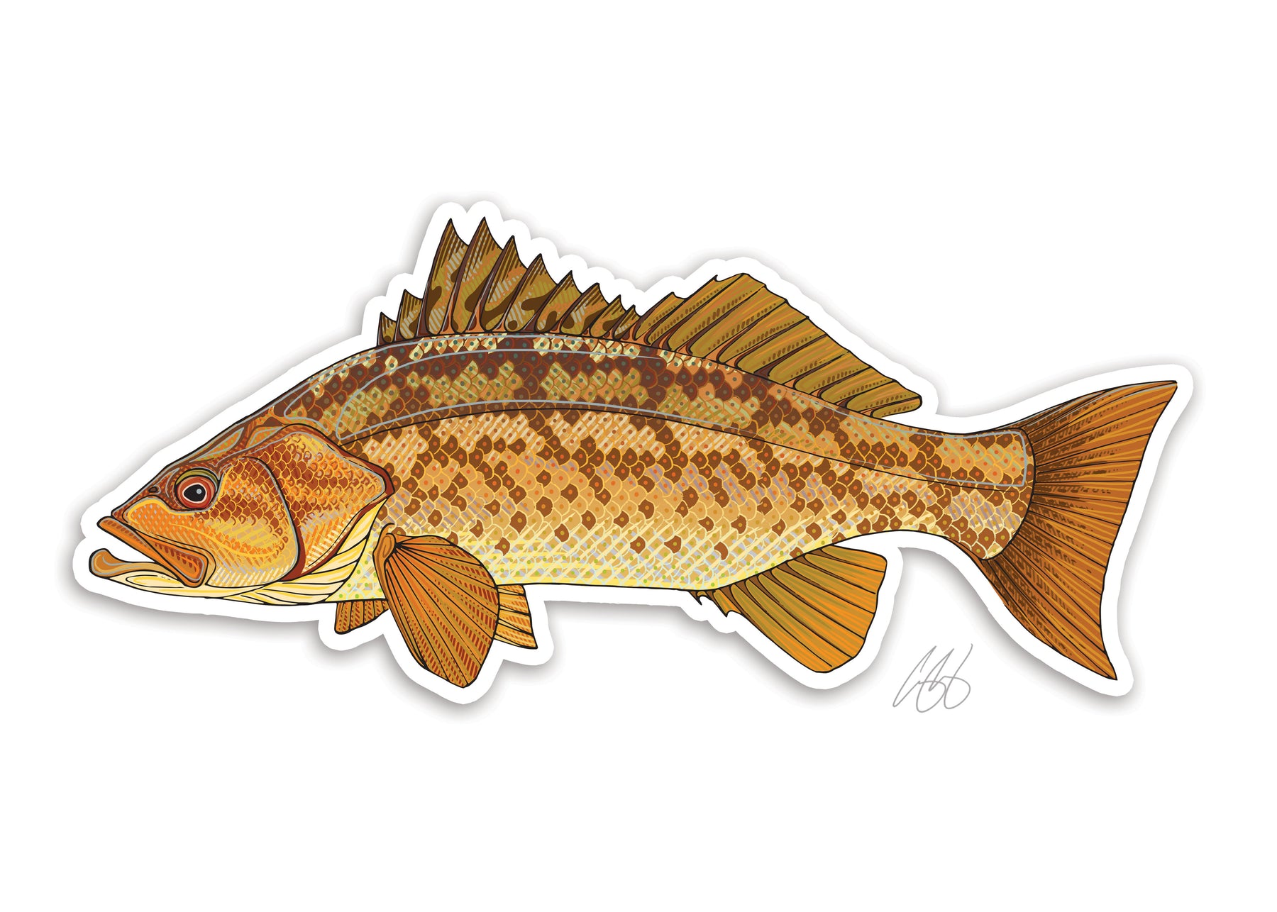 Fish Decals– Casey Underwood Artwork & Design
