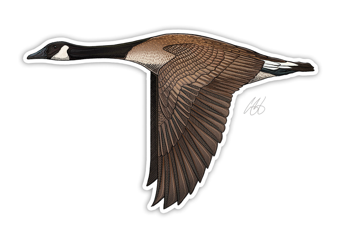 Canada Goose Decal Casey Underwood Artwork & Design