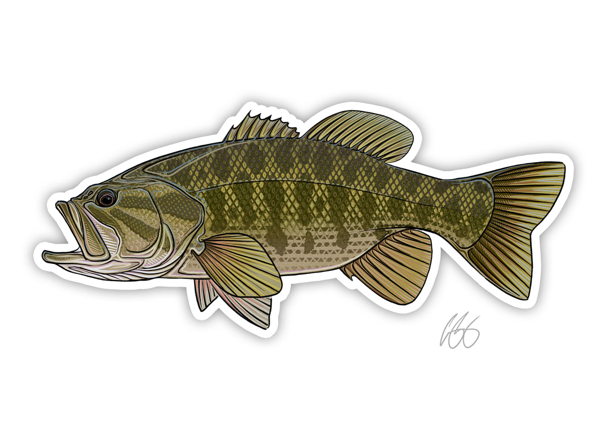 Fish Decals– Page 3 – Casey Underwood Artwork & Design