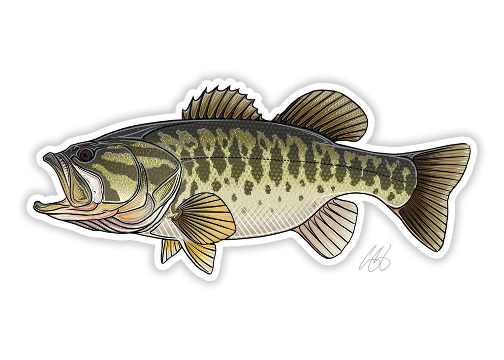 Large Mouth Bass Fish sticker graphic decal window Wall golf cart