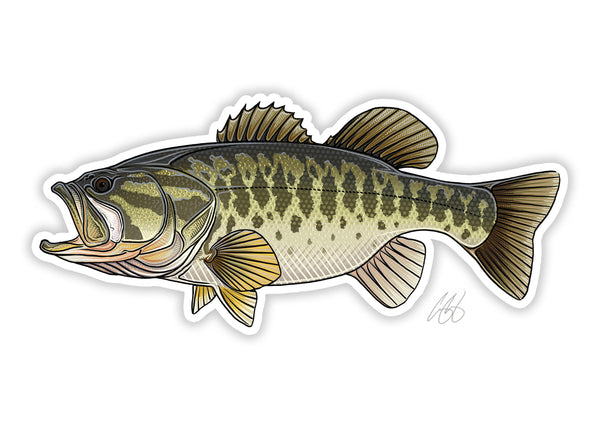 Fish Decals– Casey Underwood Artwork & Design