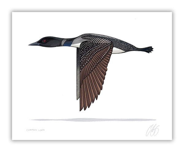 Ringneck Pheasant Print– Casey Underwood Artwork & Design