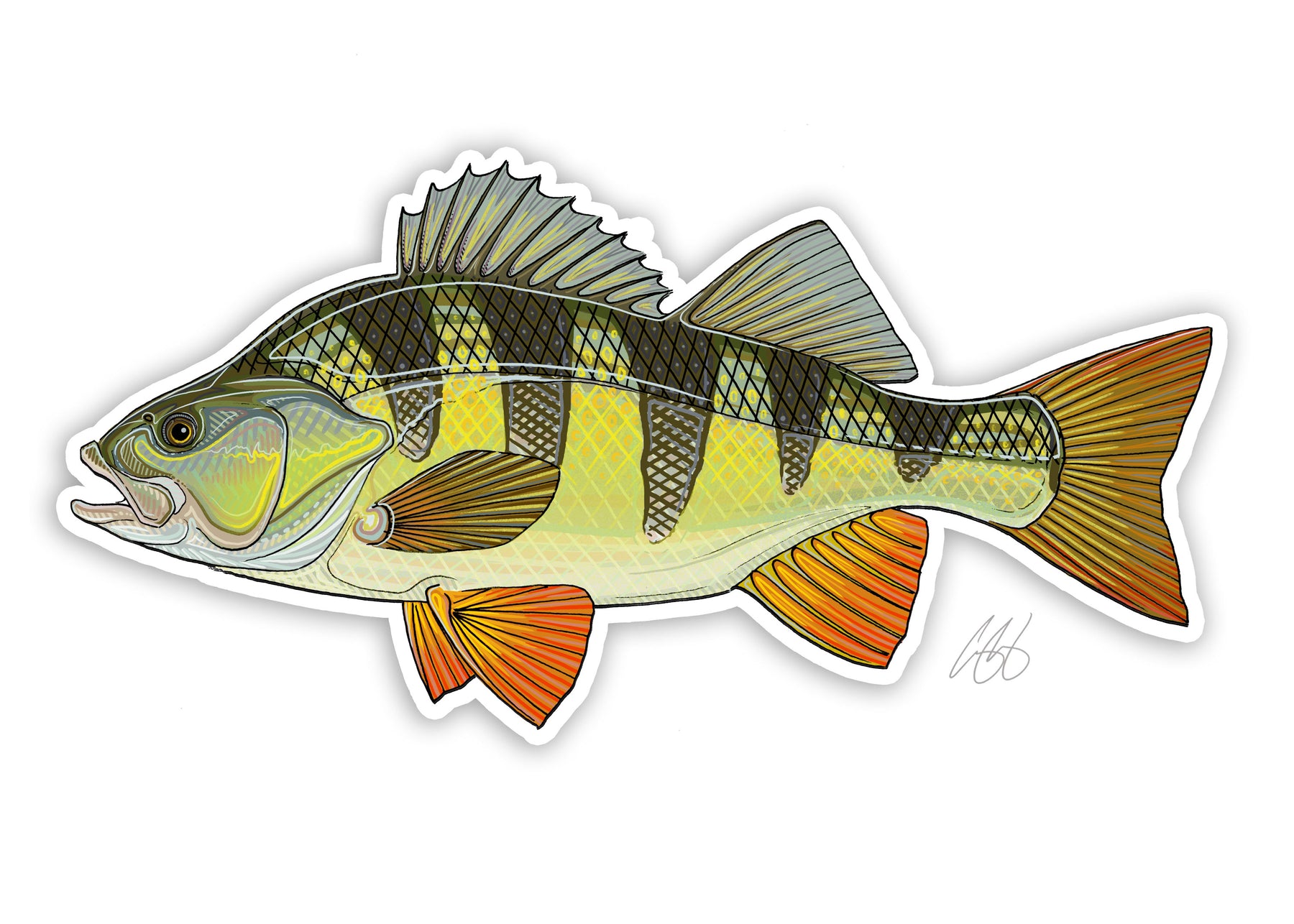 Fish Decals– Casey Underwood Artwork & Design