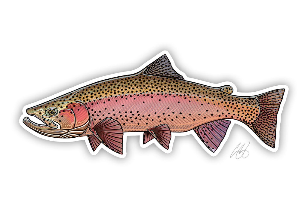 Spring Rainbow Trout Decal
