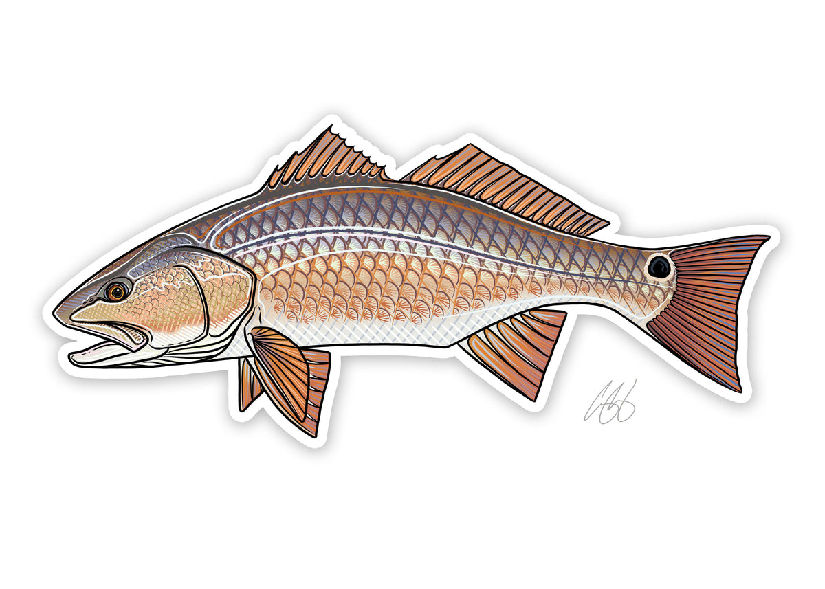 Red Fish Contour Redfish Outline Decal
