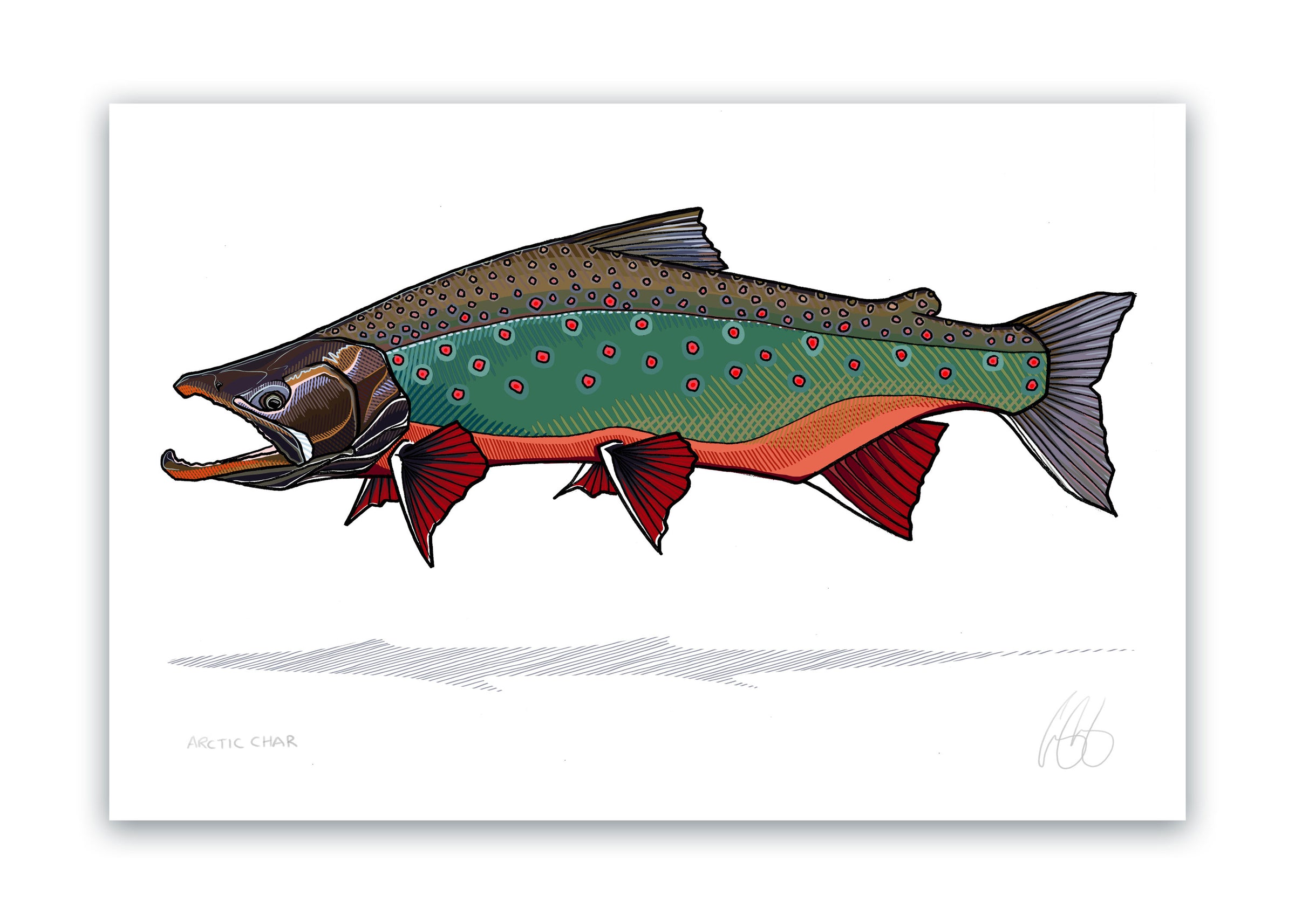 Fish Prints Casey Underwood Artwork And Design