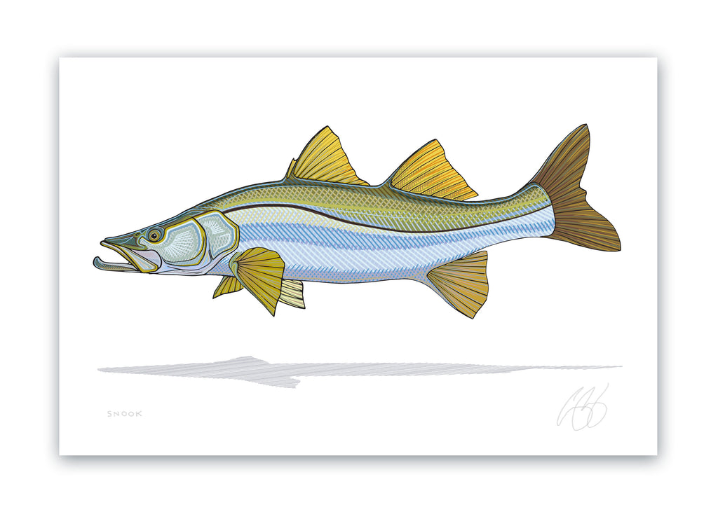 TURN UP THE BASS FISHING' Poster, picture, metal print, paint by Atomic  Chinook