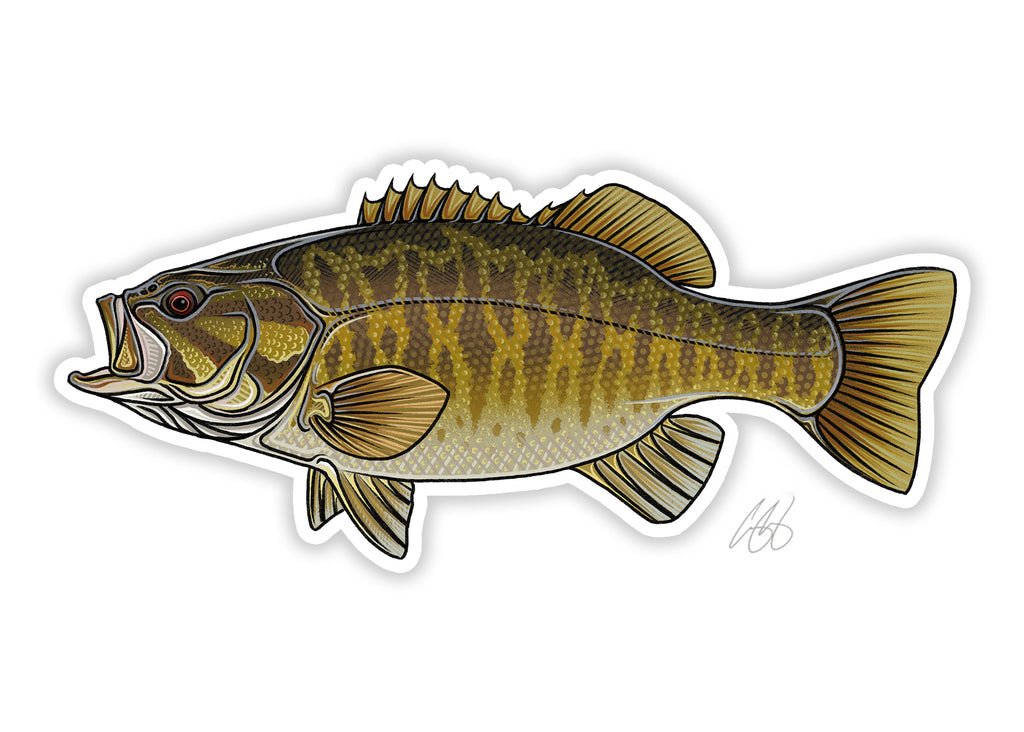 Smallmouth Bass Decal– Casey Underwood Artwork & Design