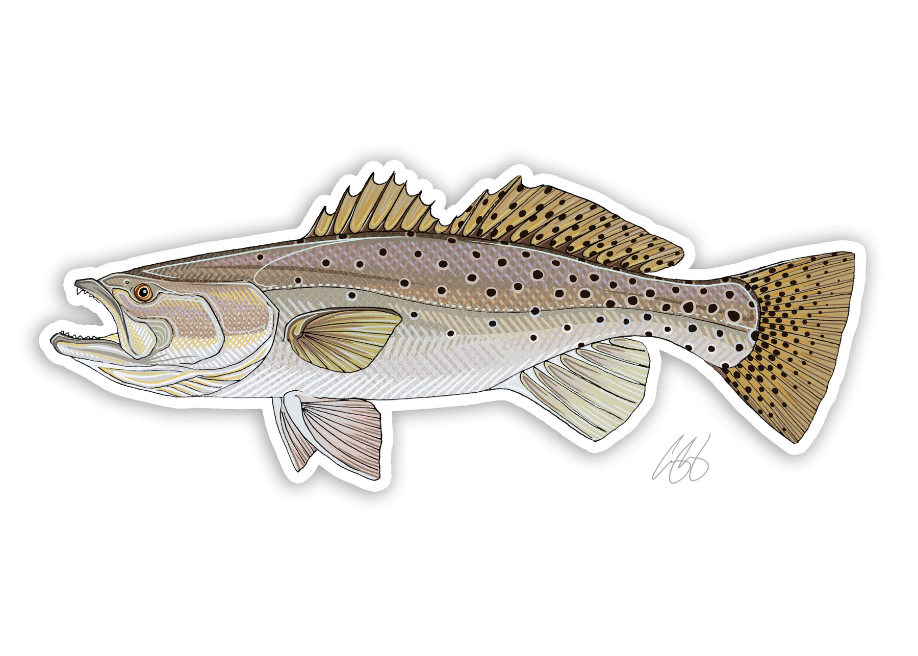 Fish Decals– Casey Underwood Artwork & Design