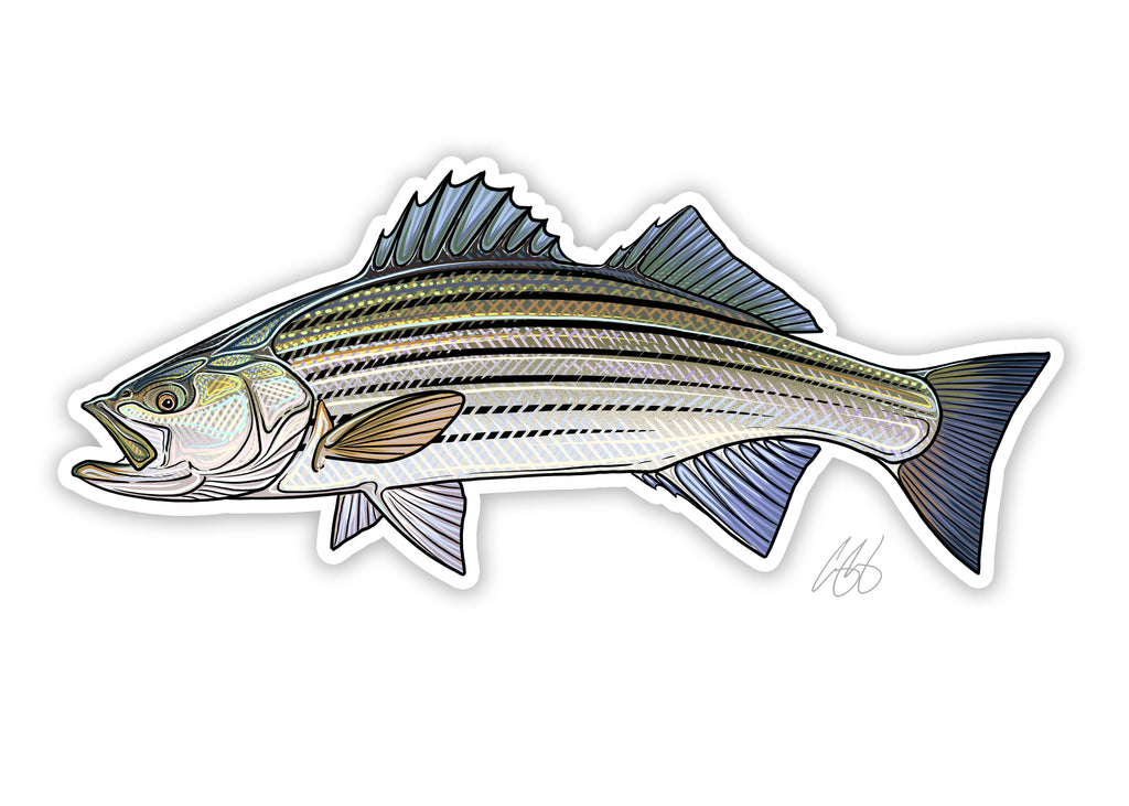 Funny Fish Sticker Striped Bass Boat Decal Bass Fishing Sticker