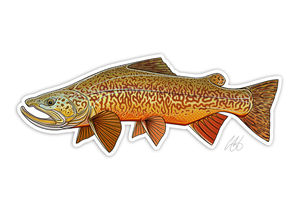 Tiger Trout Decal
