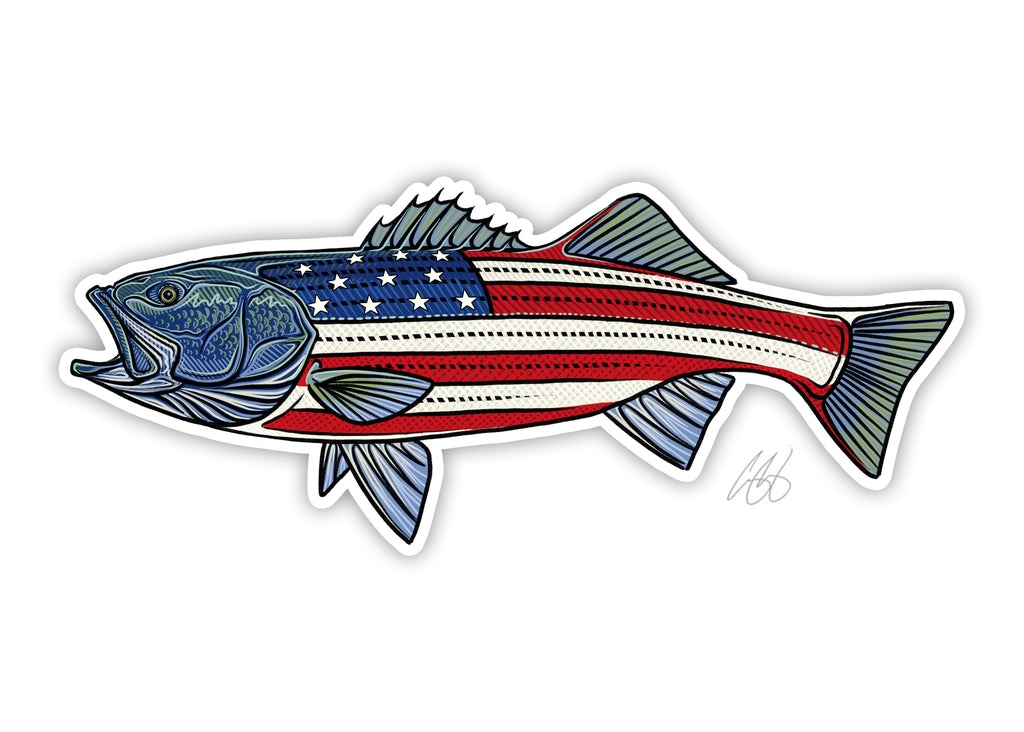 USA Striped Bass Decal– Casey Underwood Artwork & Design
