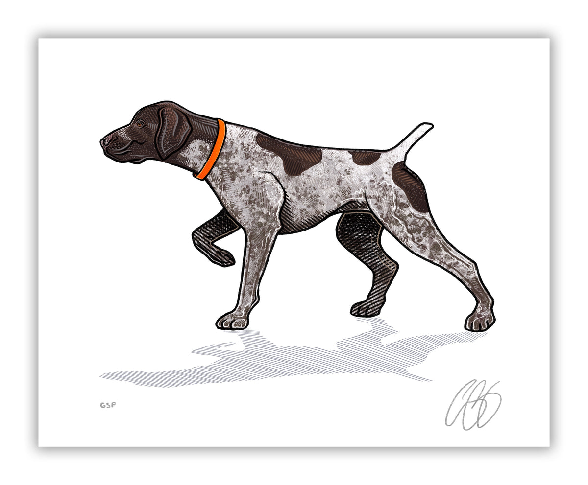 German Shorthaired Pointer Print– Casey Underwood Artwork & Design german-shorthaired-pointer-print-casey-underwood-artwork-design