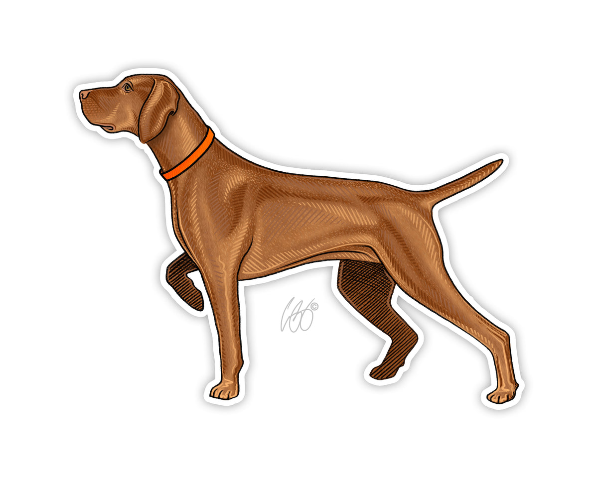 Vizsla Decal